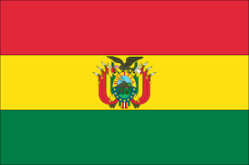 SYNTHÈSE BOLIVIE