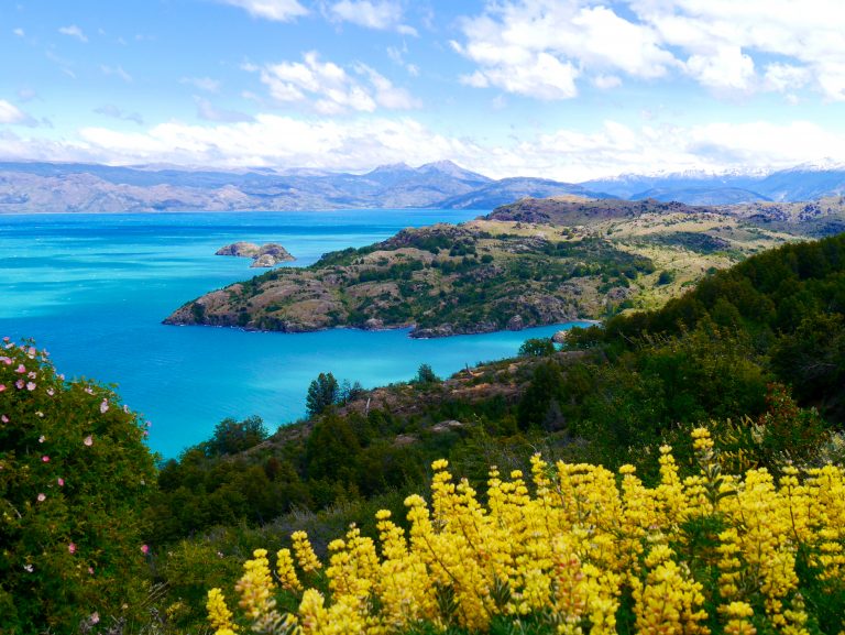 CARRETERA AUSTRALE 1