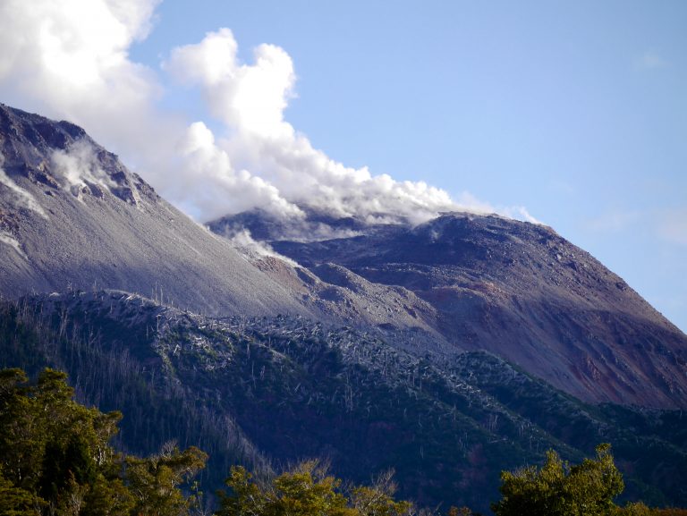 Carretera Austral 4 : PN Pumalin